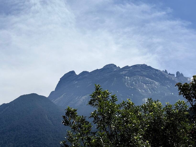 The granite crown of Mount Kinabalu under cloud, seen over dark green foliage