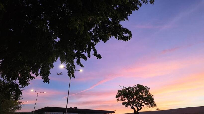 Trees and street lamps in silhouette against a pink and violet dusk sky, an aircraft climbing away