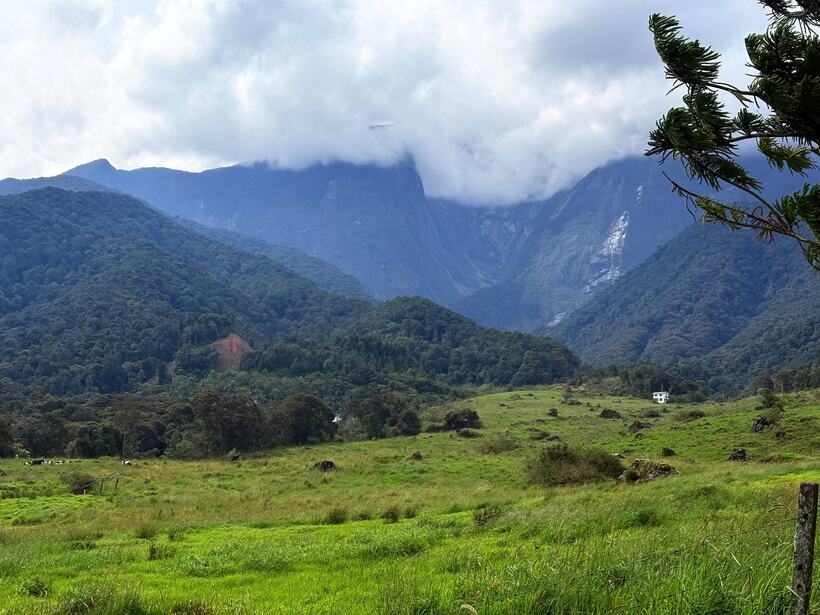 A green pasture below a jungle ridge with cloud sitting on the peaks