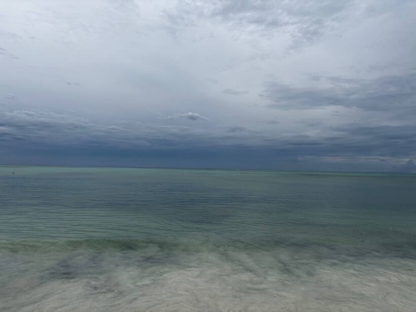 An overcast sea and sky in near-identical greys, the horizon barely separating them