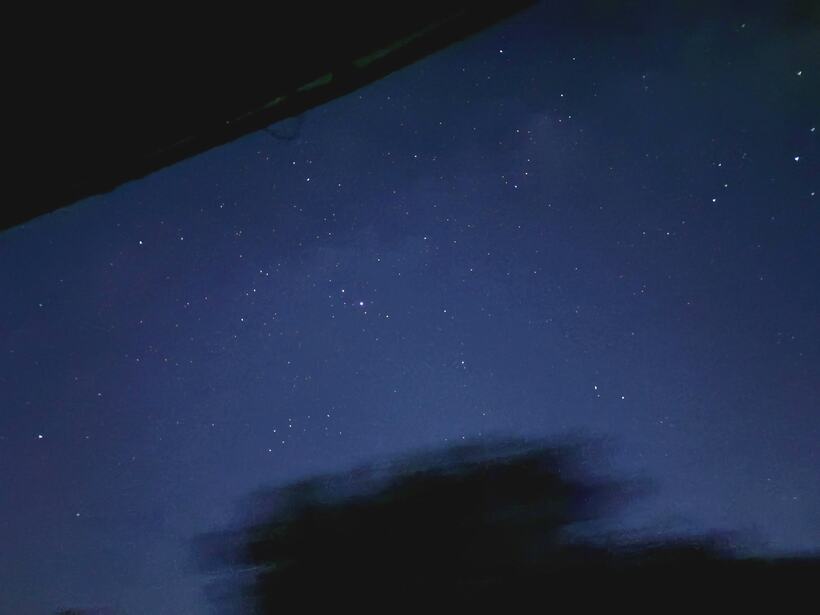 A star field over a dark treeline, the Milky Way faintly visible